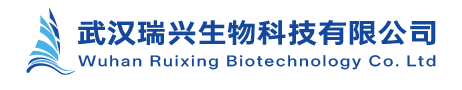 武汉瑞兴生物科技有限公司