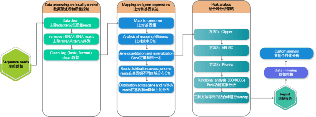 Merip Input MeRIP-seq-EN – 空间转录组 | 单细胞多组学 | 三代测序 | RNA调控研究技术服务 – 瑞兴生物