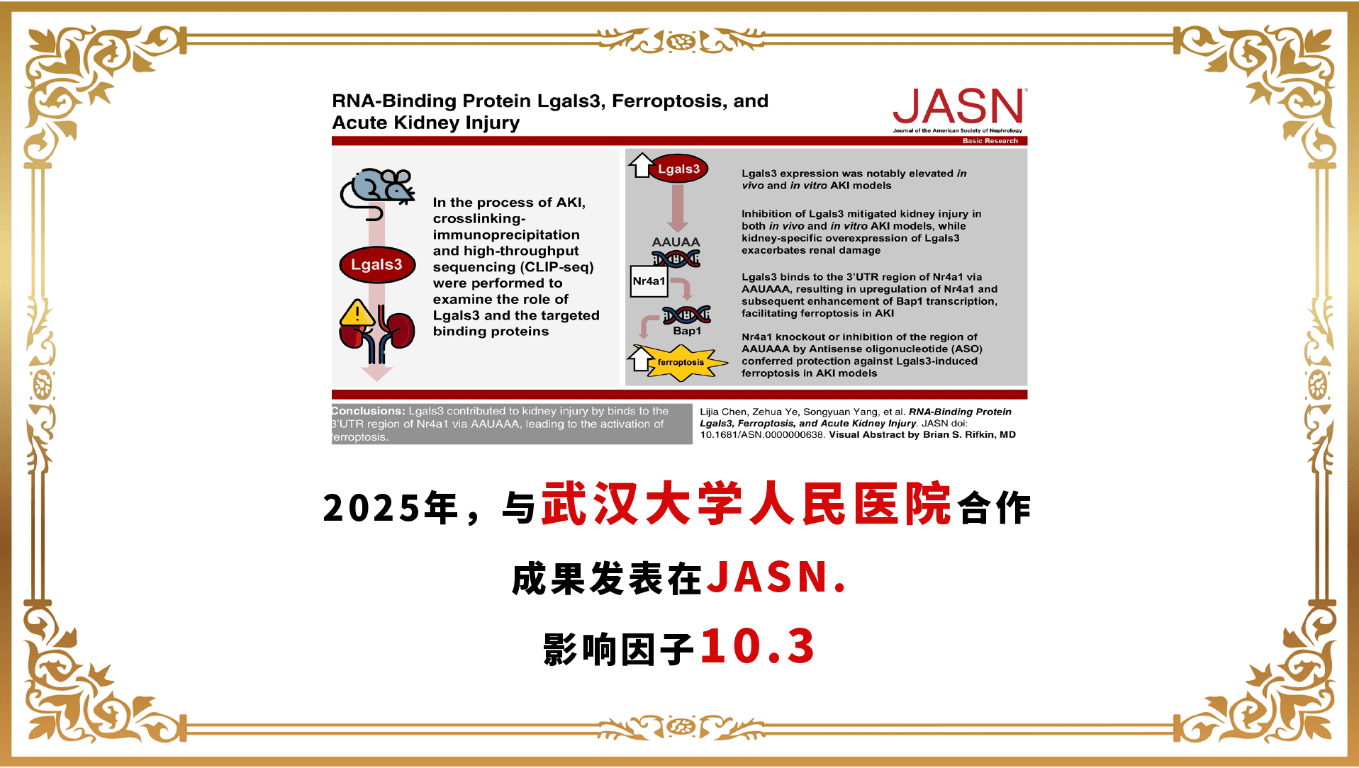 合作成果模板-02