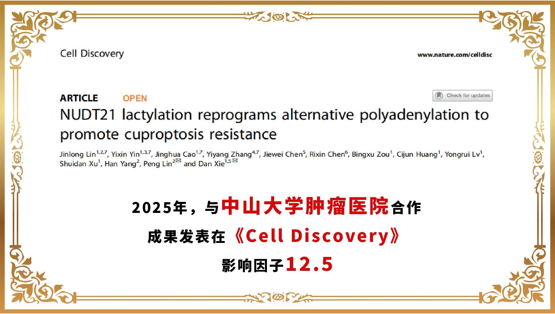 合作成果模板-04
