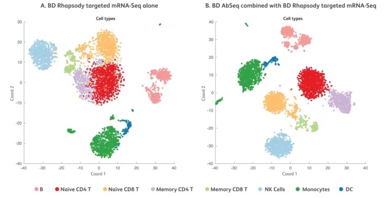 外周血单核细胞 UMAP 聚类对比：仅 mRNA 数据与 mRNA+AbSeq 蛋白数据联合聚类，后者细胞类型界限更清晰