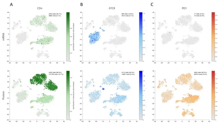 CD4、γδTCR、PD1 三个靶点的 mRNA 与 AbSeq 蛋白表达 UMAP 对比：蛋白数据能更准确地区分阳性细胞群