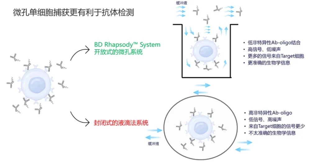 BD Rhapsody 微孔捕获原理示意图：单细胞自然沉降进入微孔，未结合的游离 Ab-oligo 抗体在多次清洗步骤中被去除，降低背景噪声