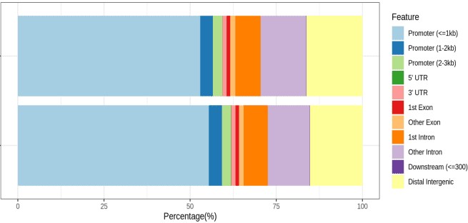 ATAC-seq 实测数据：Peak 在基因组上的占比，各样本 Peak 在 promoter、UTR、exon、intron 与远端基因间区的百分比堆叠柱状图