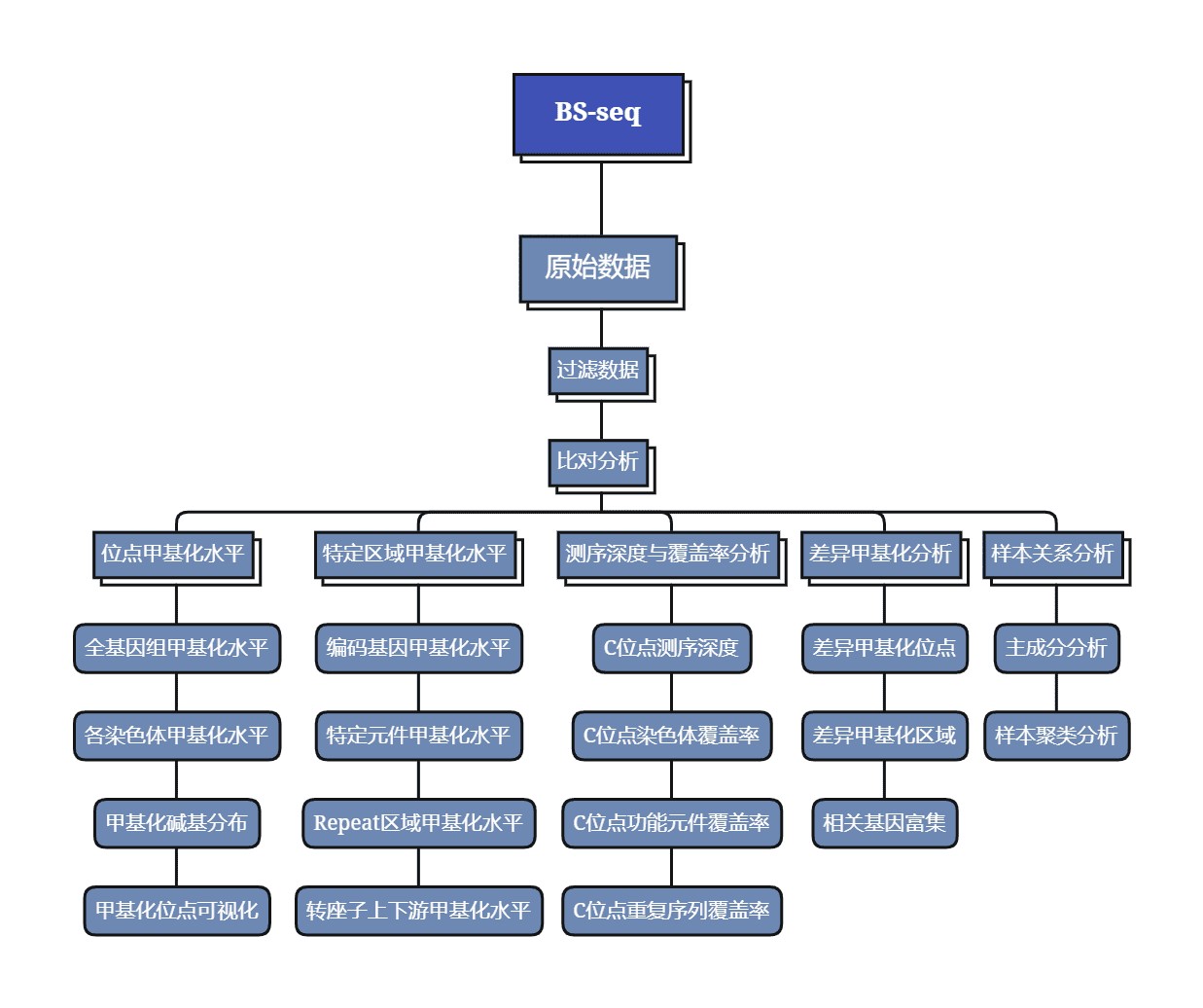 BS-seq 数据分析流程