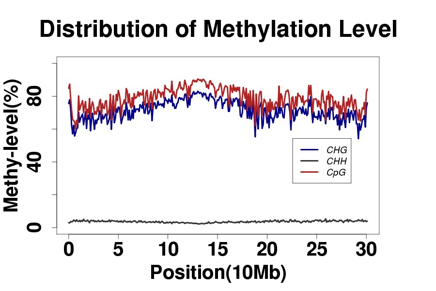 BS-seq 数据分析结果：每条染色体平均分成 300 等份后各区段平均甲基化水平