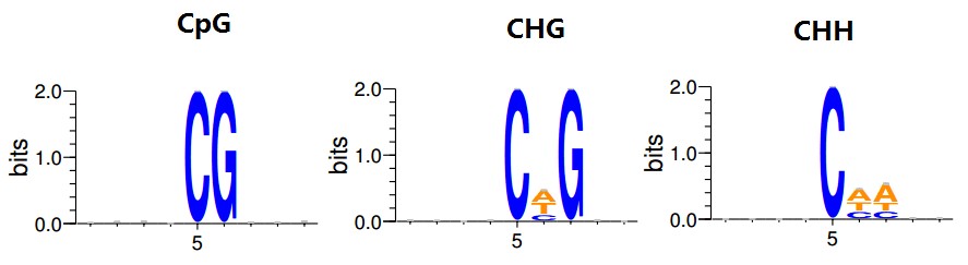 BS-seq 数据分析结果：CG、CHG 和 CHH 中甲基化 C 附近 9bp 序列特征分析
