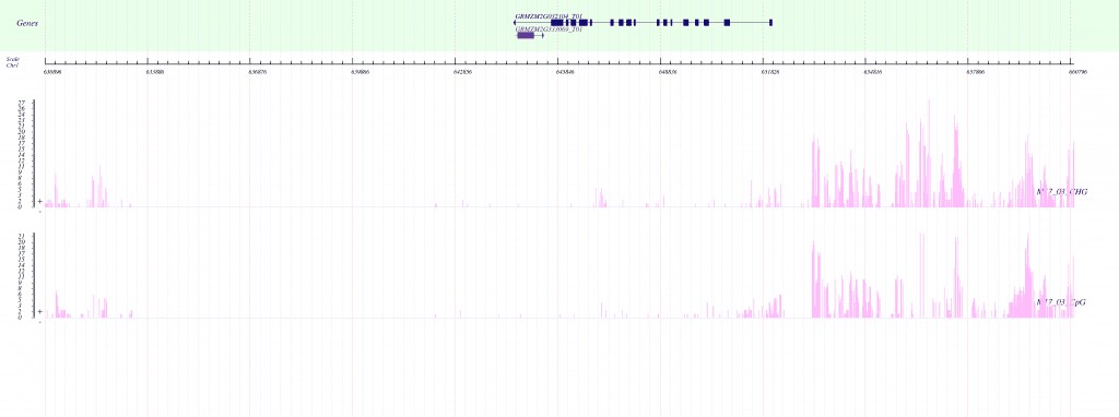 BS-seq 数据分析结果：基因组浏览器视图中甲基化 C 位点与基因结构