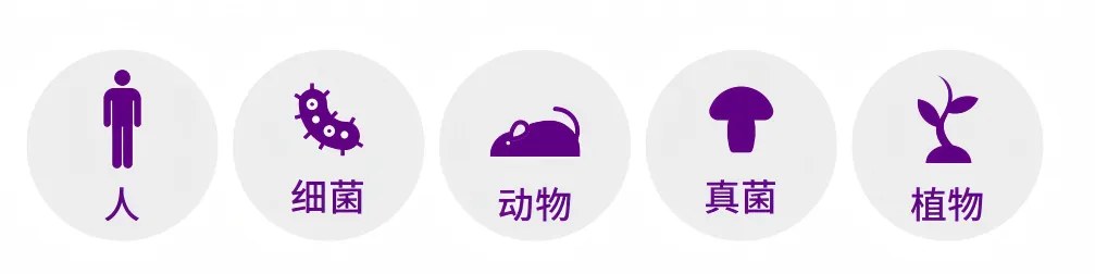 FFPE 方案适用于人、小鼠及其他多种物种的石蜡样本