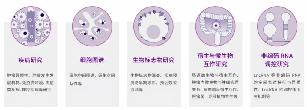 Stereo-seq FFPE 五大应用方向：疾病研究、细胞图谱、生物标志物研究、宿主与微生物互作研究、非编码 RNA 调控研究