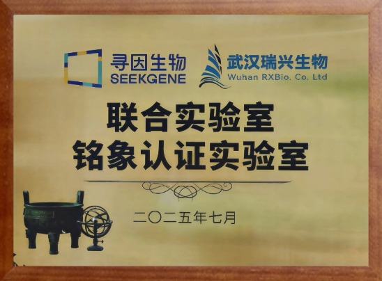荣誉证书5
