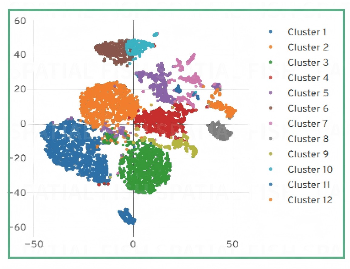 MiP-seq 多维空间组：RNA 与蛋白信号的相关性与相互作用分析