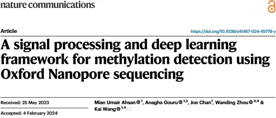 DeepMod2 深度学习框架：利用纳米孔离子电流信号检测 DNA 甲基化