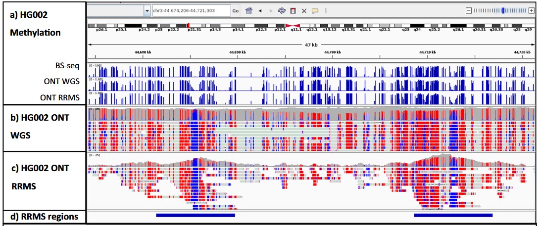 全基因组与 RRMS 纳米孔测序的 reads 及甲基化调用 IGV 图，比较 RRMS reads 覆盖与 CpG 检出数量