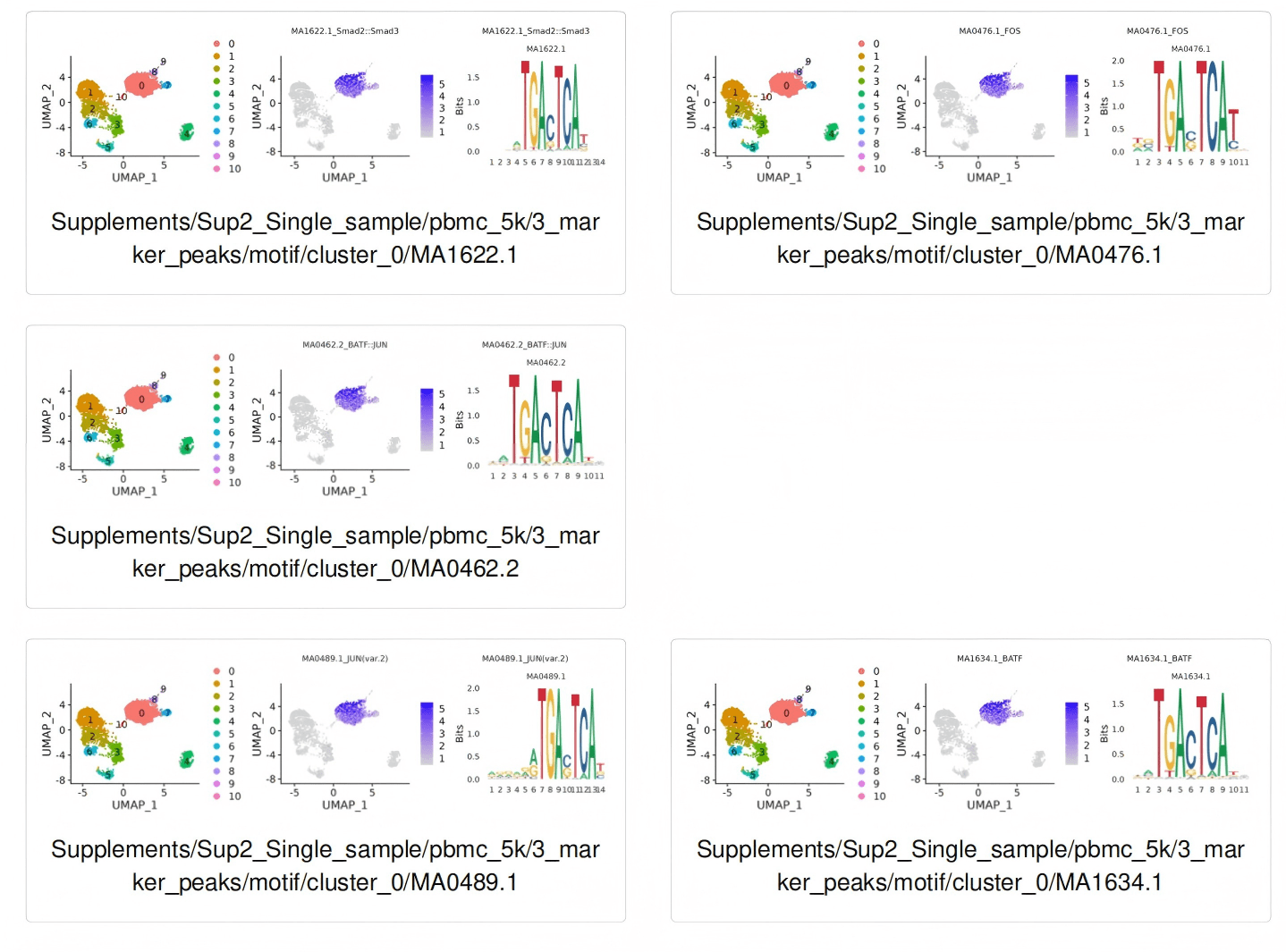 簇特异 open peaks 的 motif 分析结果：Smad2::Smad3、FOS、BATF::JUN、BATF 等 motif 在 UMAP 上的活性分布及其序列 logo