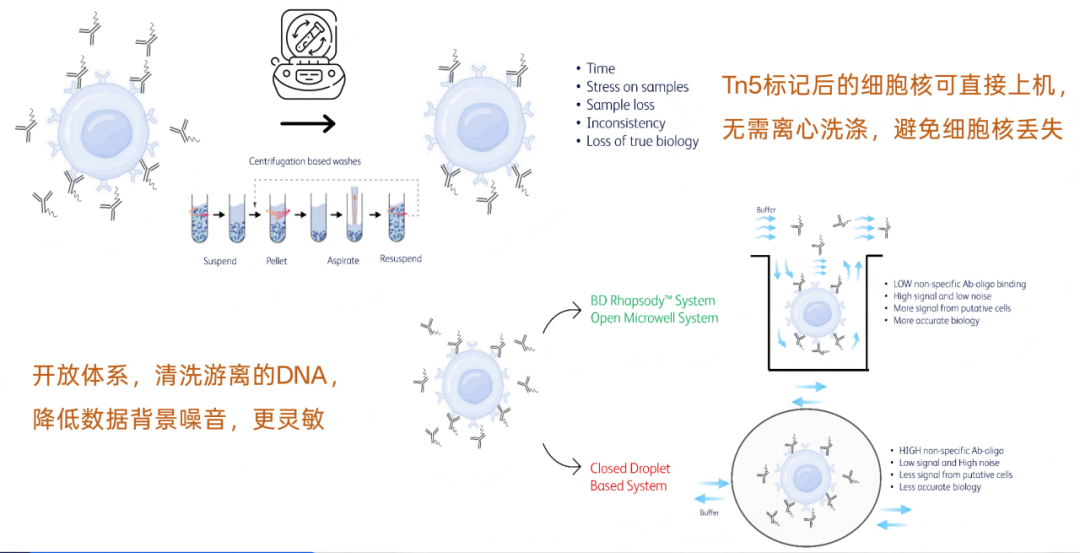 开放式微孔体系与液滴封闭体系对比：微孔系统可清洗游离 DNA 与游离抗体寡核苷酸，信号高噪声低；封闭液滴体系杂质残留、噪声高；Tn5 标记后的细胞核可直接上机无需离心洗涤