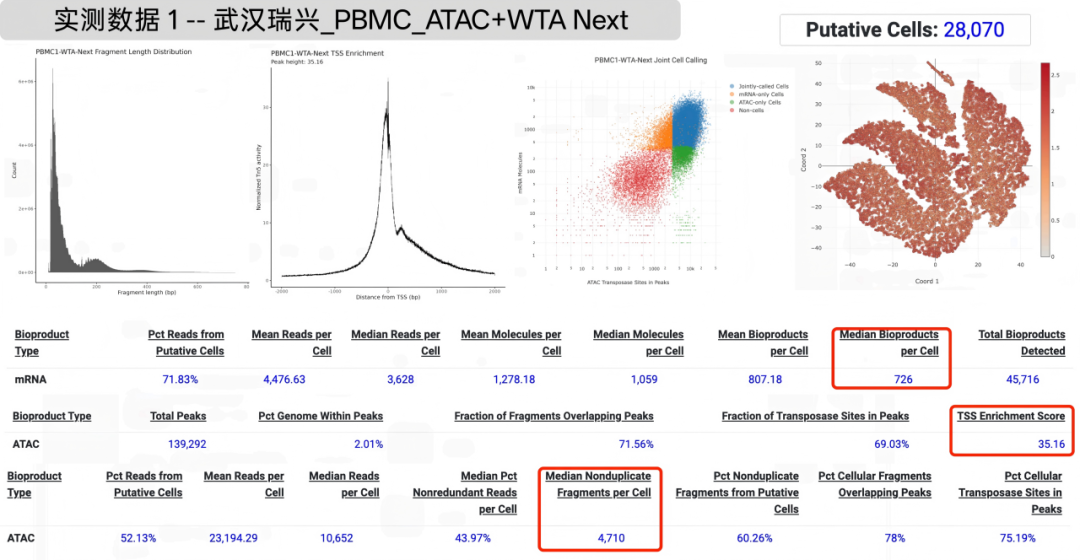 武汉瑞兴 PBMC 样本 ATAC+WTA Next 实测汇总：片段长度分布、TSS enrichment 曲线、ATAC 与 WTA 联合分型散点图、28,070 个候选细胞核 UMAP，以及 reads、bioproducts、peaks、TSS enrichment 等关键质控指标表