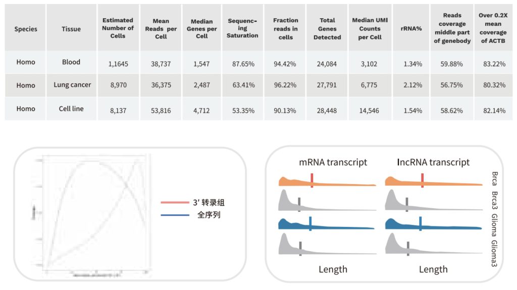 scFAST-seq 转录本覆盖度与长度分布:多物种样本中 mRNA 与 lncRNA transcript 全长覆盖曲线