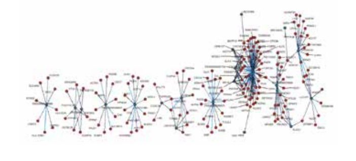 基于 scFAST-seq 构建的 lncRNA-mRNA 共表达调控网络图