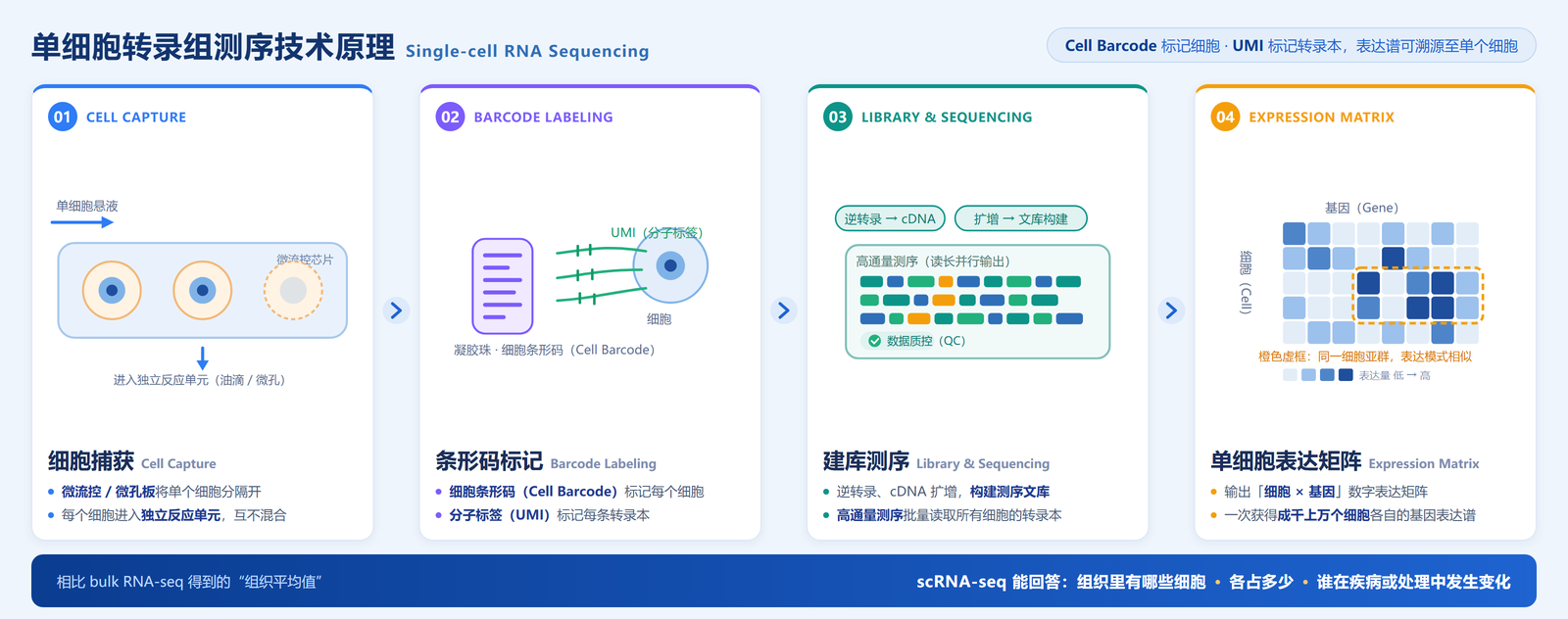 单细胞转录组测序技术原理图