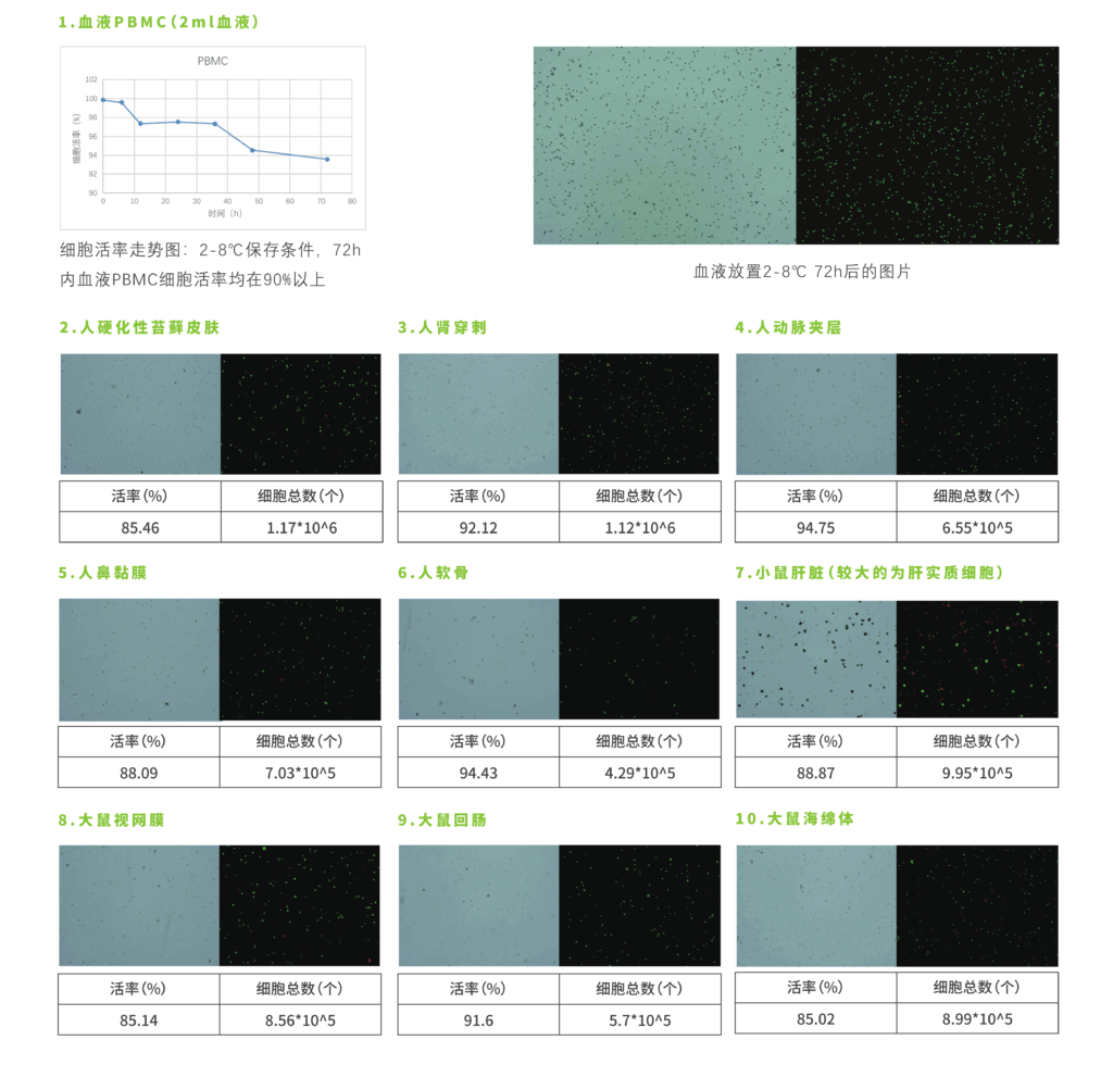 单细胞悬液制备流程示意：组织解离、过滤、洗涤重悬与上机前质检（细胞活率、浓度、结团率）