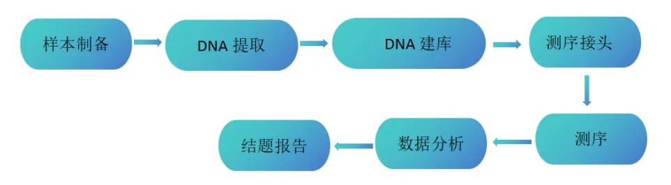 ONT 全长全基因组重测序技术路线：从样本接收到质检、建库、测序、变异检测到功能注释的完整流程